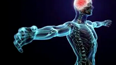 Ce se întâmplă în organism atunci când strănutăm. 20 de curiozități despre corpul uman