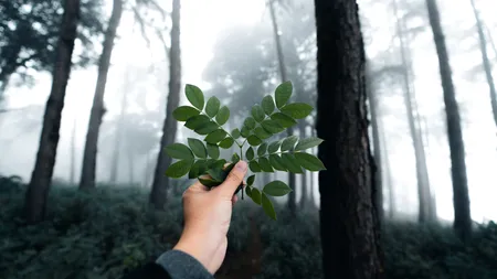 Care sunt țările în care oamenii sunt cei mai conectați cu natura. Pe ce loc se află România în acest studiu