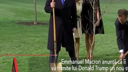 Macron anunță că îi va trimite lui Trump un nou stejar, după ce primul s-a uscat