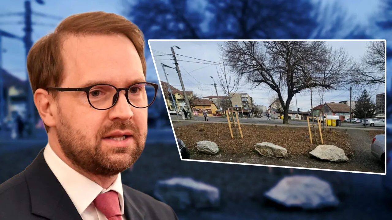 Bolovani de aproape 100.000 de lei, „plantați” pe spațiile verzi din Timișoara. Soluția Primăriei lui Dominic Fritz stârnește revoltă