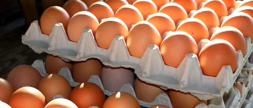 ANPC a dat amenzi de 380.000 de lei într-o zi producătorilor de ouă, înainte de Paște. Ce nereguli au fost descoperit