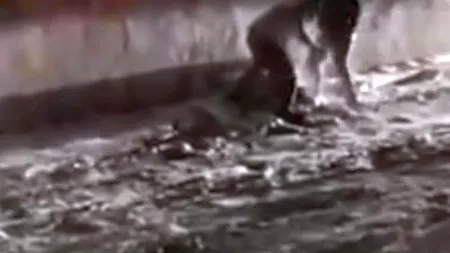 UCIS cu 11 lovituri de CUȚIT. Autorii omorului de la Mediaș, recent ELIBERAȚI din pușcărie