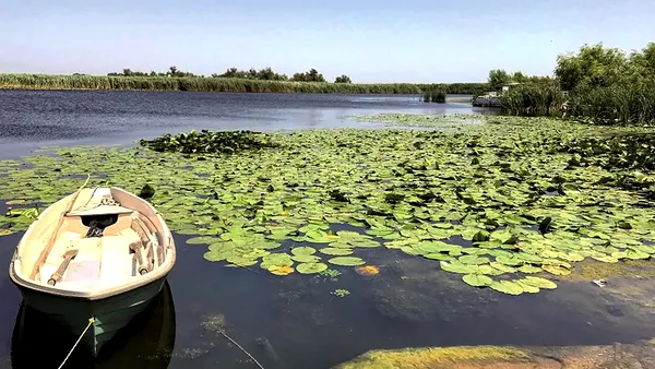 Turiștii fug de Delta Dunării după alertele cu drone. Primarul din Tulcea: „Ne-a afectat cel mai mult”