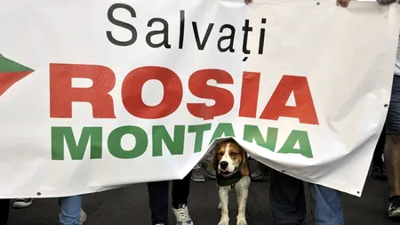 Mediafax ZOOM. Protestele lunii septembrie