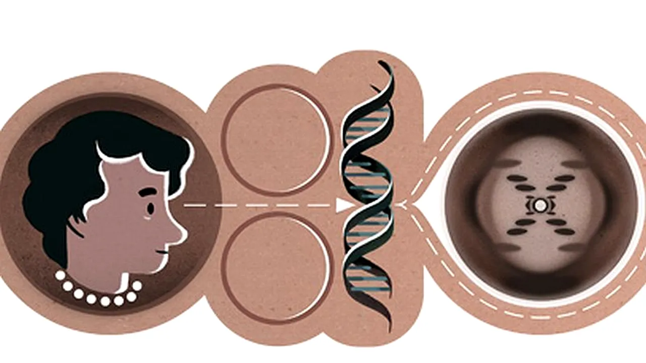 ROSALIND FRANKLIN a fost nedreptățită: ROSALIND FRANKLIN merita un Nobel, însă l-au luat alții. Google nu a uitat-o pe cercetătoare