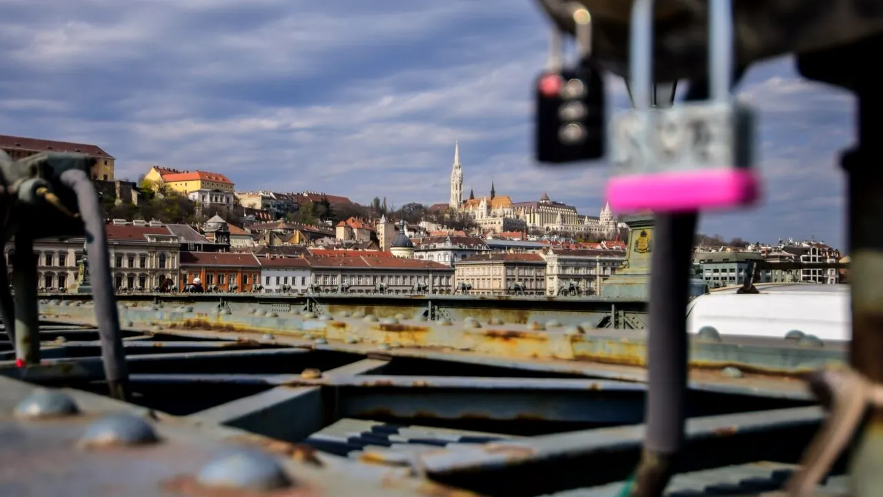 Aberație legislativă sau „protecție a mediului”. Cum au ajuns liliecii și ciocănitorile să BLOCHEZE construcția unui pod peste Dunăre