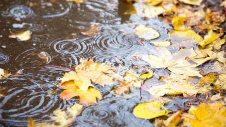 Prognoza meteo în perioada 6 - 19 noiembrie. Cum va fi vremea în fiecare regiune în parte
