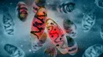O femeie de 28 de ani a murit de ciumă în Rusia. Aproape 200 de persoane sunt monitorizate
