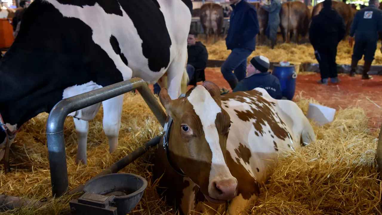 Cum vrea să facă Guvernul o clasă de mijloc la sate. Strategia prezentată de Cioloș