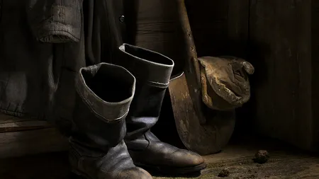 Comoara ascunsă în zidurile unui conac vechi de sute de ani. Ce au găsit noii proprietari: „Cutia era încastrată în zid”