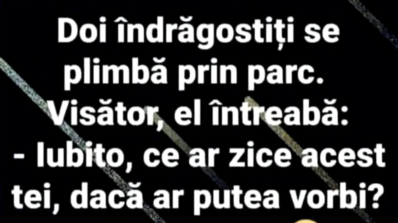 BANCUL ZILEI | „Iubito, ce ar zice acest tei dacă ar putea vorbi?”