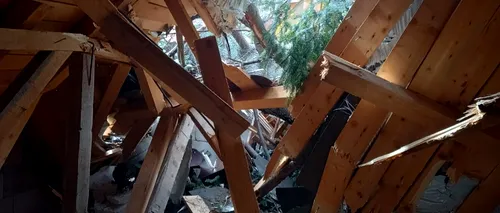 FOTO | Cabană distrusă în stațiunea Călimănești, după ce doi brazi au fost doborâți de vântul puternic