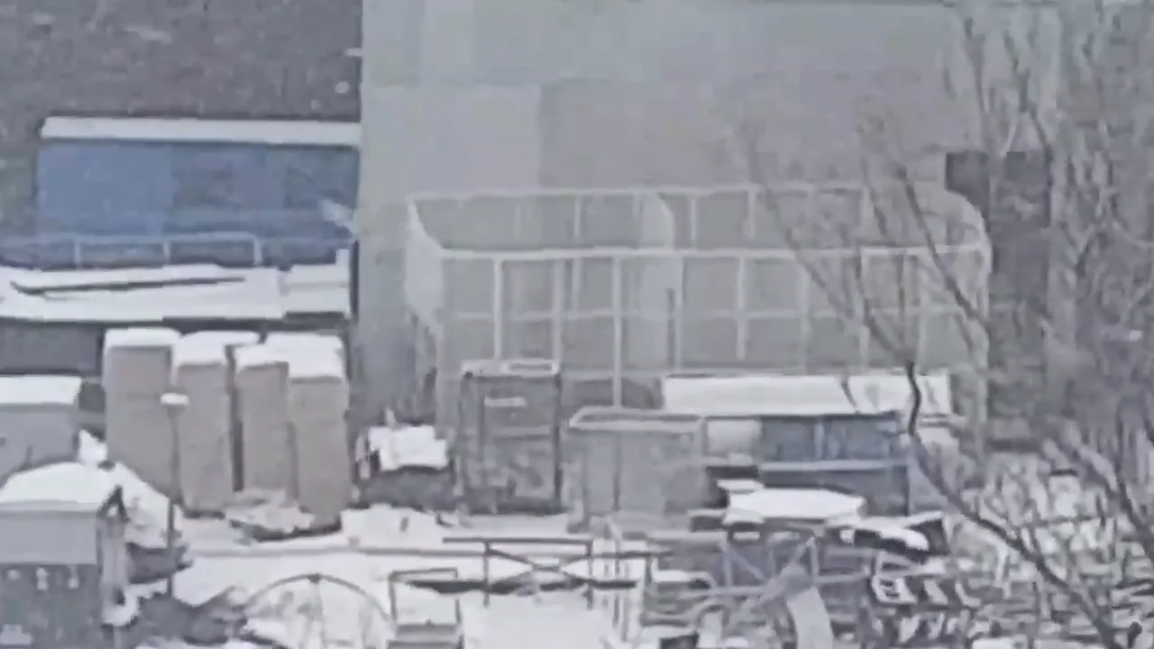 Imaginile nepăsării surprinse la Circul Globus. Tigri și lei, ținuți în ninsoare, în cuști neacoperite. Ce decizie a luat Primăria Capitalei