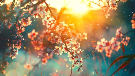 ANM, prognoza până la 21 octombrie 2024. Meteorologii anunță termperaturi mai ridicate decât cele normale