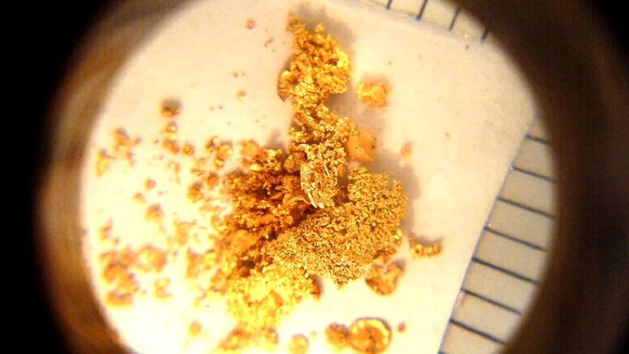 Descoperire neobișnuită a polițiștilor de frontieră din Siberia. Ce ascundea un șofer sub scaunul său