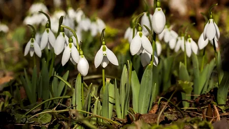 VREMEA se schimbă sâmbătă în toată țara. PROGNOZA METEO pentru weekend