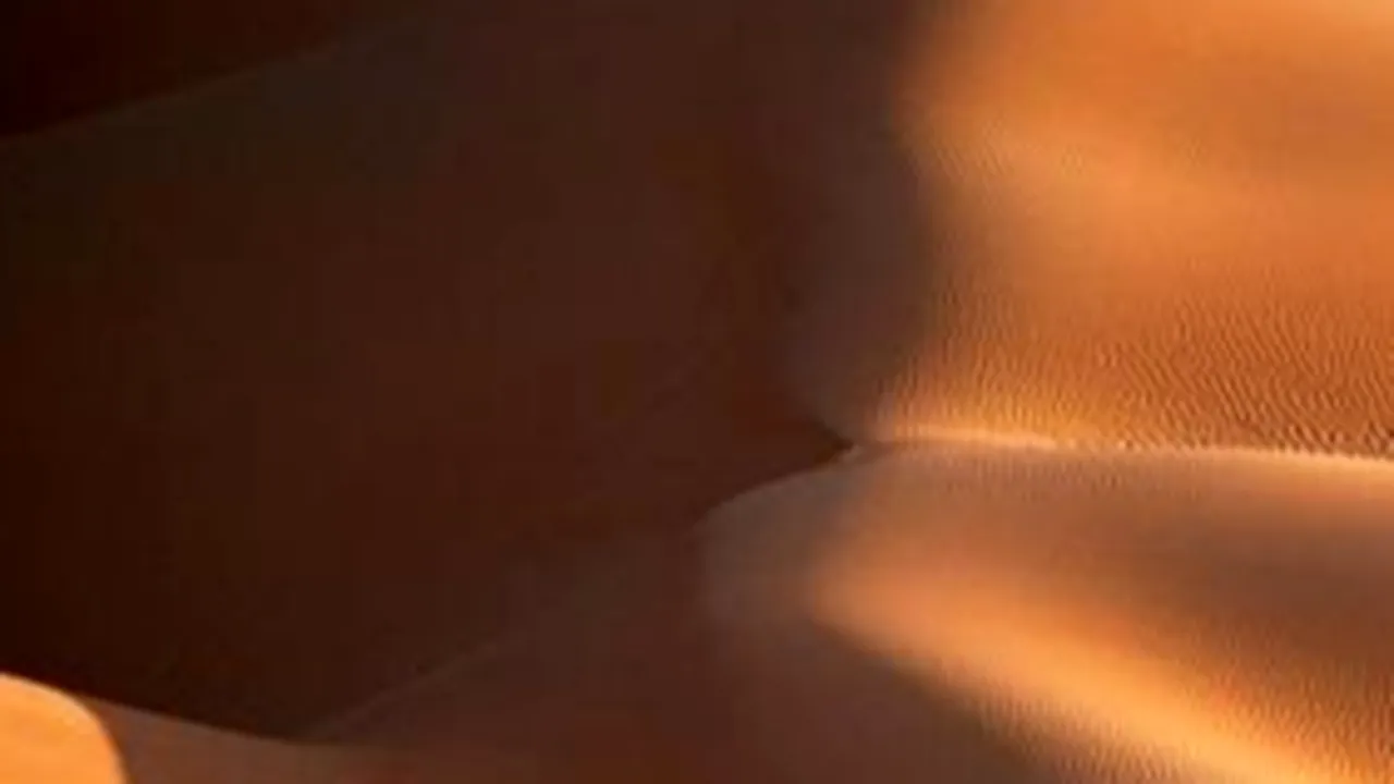 Cum arată fotografia premiată cu 100.000 de dolari