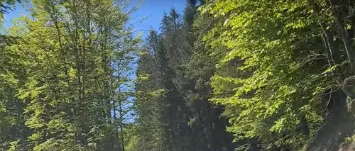 VIDEO | Cum arată drumul de munte care ar putea fi o alternativă la aglomerația de pe Valea Oltului. Este de o frumusețe rară
