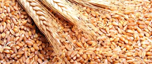 Un milion de tone de grâu importate de Iran. Planul este de achiziție a trei milioane de tone până în vara lui 2020