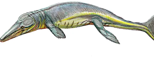 Creatură marină, descoperită în urma analizei unor fosile păstrate 100 de ani într-un muzeu