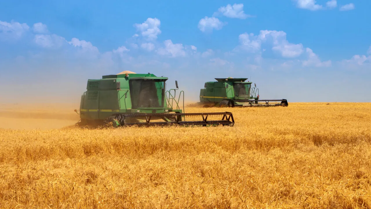 RUSIA avertizează că sancțiunile occidentale ar putea împiedica reînnoirea acordului privind exportul de cereale prin Marea Neagră