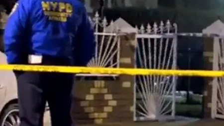 COPIL UCIS de o haită de câini sălbatici într-o grădină zoologică din SUA