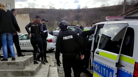 Un gălățean a înjunghiat doi câini, iar unul dintre ei a murit. Care a fost motivul și ce pedeapsă a primit bărbatul