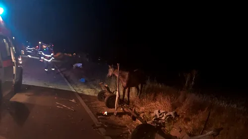UPDATE - Căruță spulberată de o mașină, pe un drum din Teleorman. Două persoane au murit și șase au fost rănite, între care patru copii / Planul Roșu de Intervenție a fost dezactivat (FOTO-VIDEO)