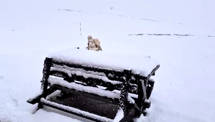 Sursa foto: Facebook/Meteoplus