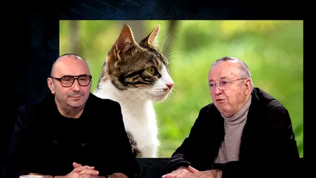 Ion Cristoiu: „Am luat o pisicuță de milă, în scurt timp a devenit stăpâna casei. Este USR-ISTĂ clar”