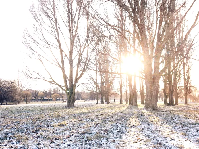 foto ilustrativa. sursa foto: Envato