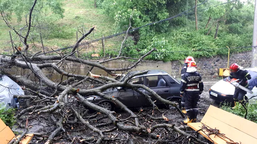 Ravagii în Curtea de Argeș: Mai multe gospodării inundate și un copac căzut peste mașini după furtună - VIDEO