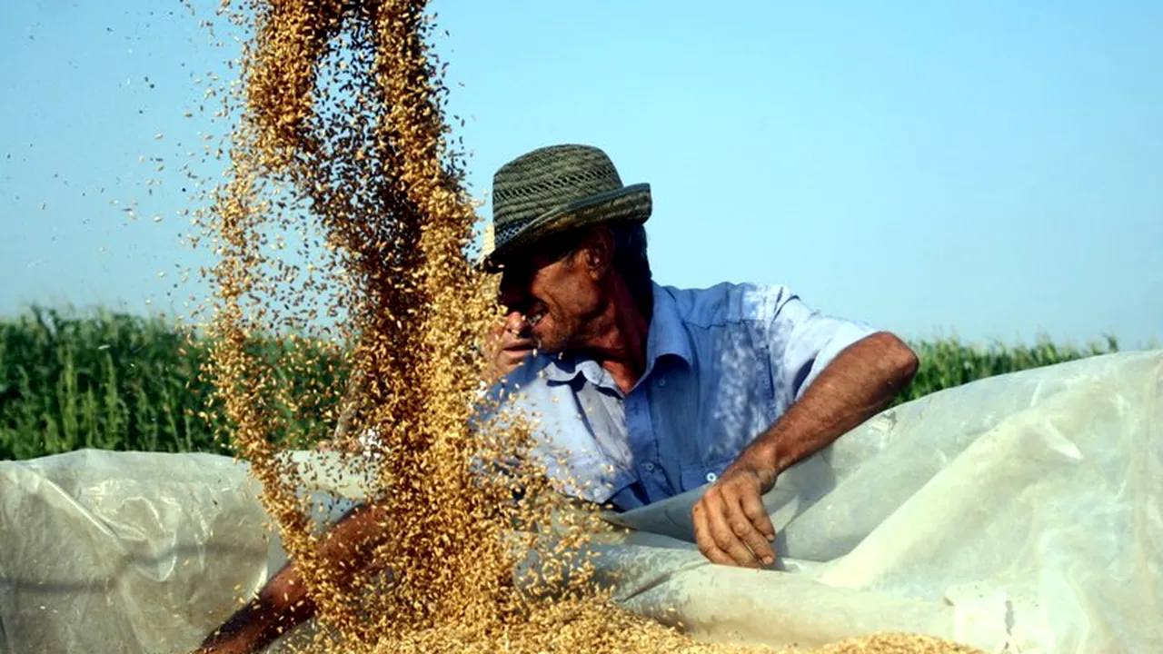 Prețurile alimentelor la nivel global au scăzut în noiembrie, la minimul începând cu iunie