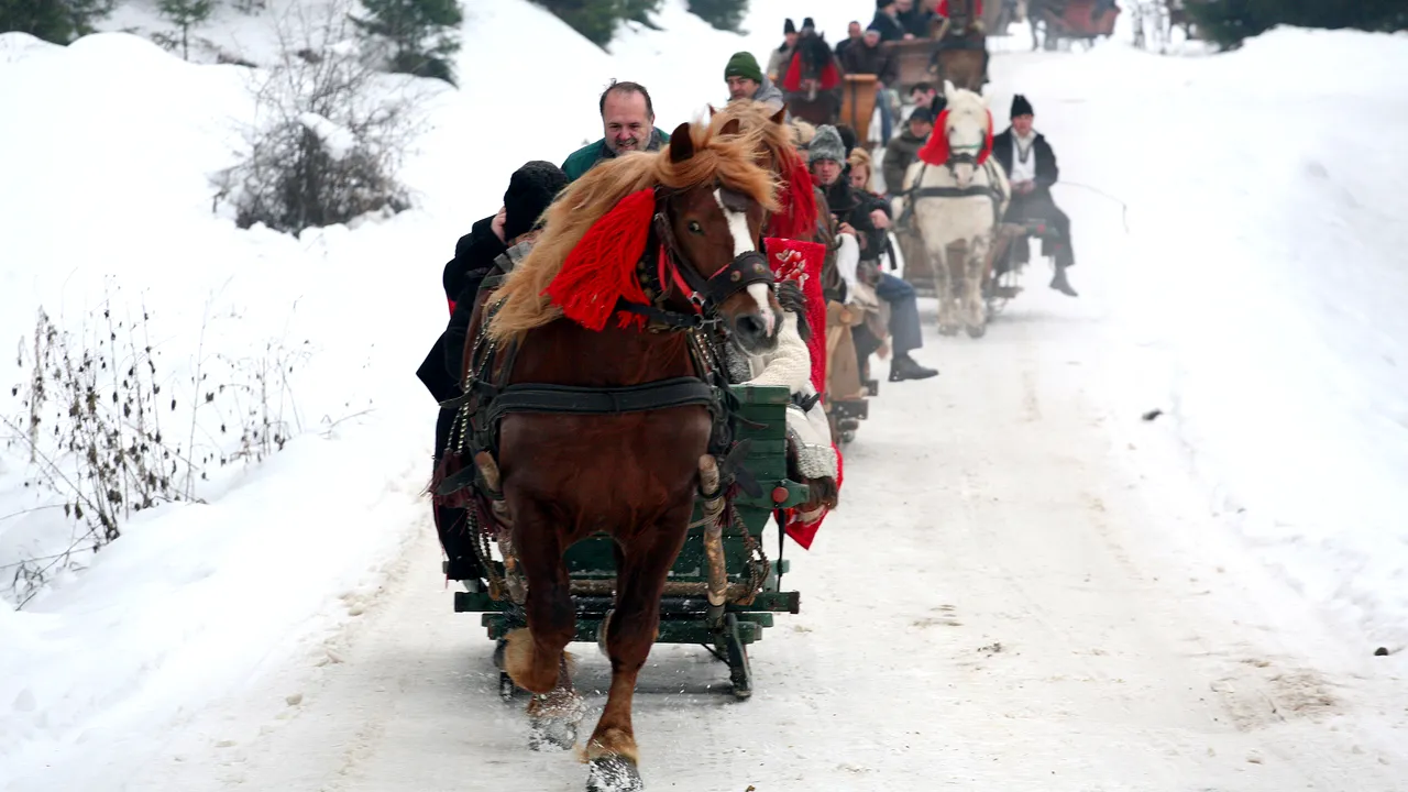 SUCEAVA. Unde au mers banii publici în 2014. Topul firmelor care au contracte locale cu statul