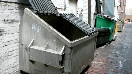 Primăria unui oraș din România, fără bani pentru coșuri de gunoi. „Pandemia agravează situația”