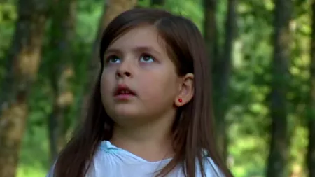 Ministerul Apelor și Pădurilor lansează 