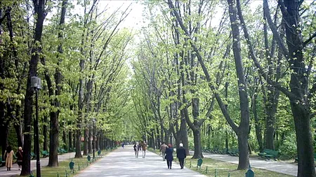 ZILE LIBERE 2024. Vestea primită de milioane de români. Când vor avea două zile libere în plus