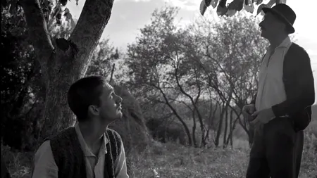 Primele secvențe din MOROMEȚII 2 