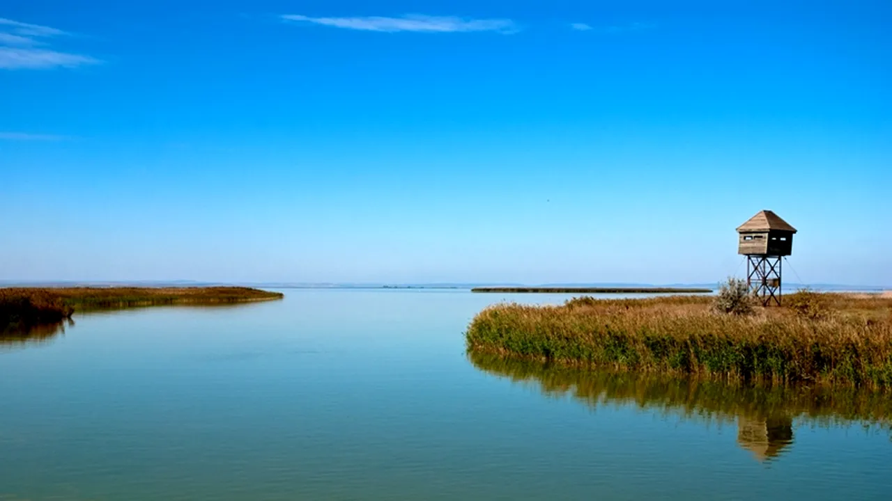 Peste 6.000 de români cer păstrarea directivelor Natura 2000 în forma actuală. La fel și 500.000 de europeni