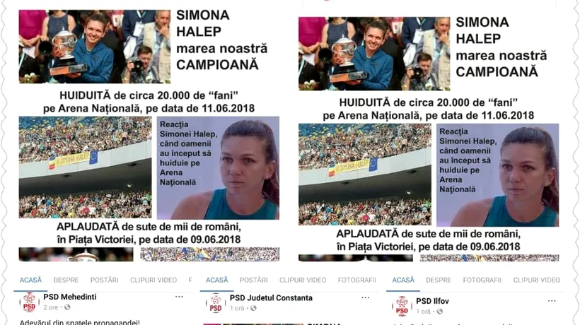 Organizații PSD, despre Simona Halep: Huiduită pe Arena Națională, aplaudată la mitingul PSD