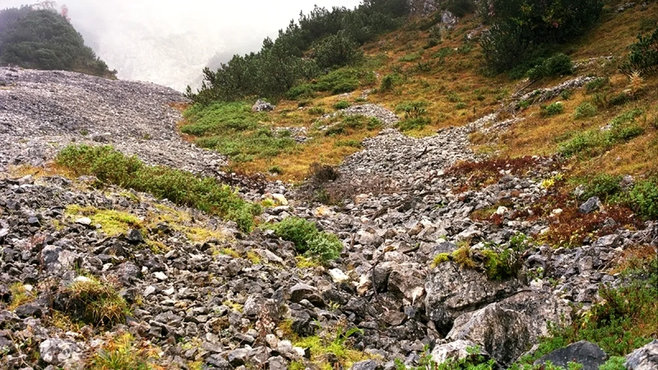 Pare un peisaj obișnuit din natură. Detaliul din acestă fotografie te va uimi însă