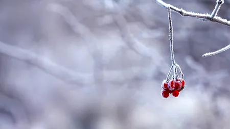 Iarna pune stăpânire pe România. Prognoza meteo pentru următoarele două săptămâni