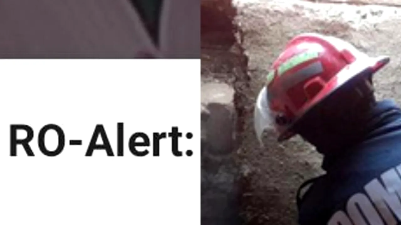 Mesaj RO-Alert într-un mare oraș din România! Amendă de 5.000 de lei dacă ucideți acest animal. „Închideți ușile și geamurile!”