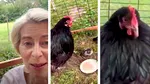 Ursula von der Leyen s-a filmat cu o găină și a publicat videoclipul pe Instagram. Ce sfaturi cere șefa Comisiei Europene