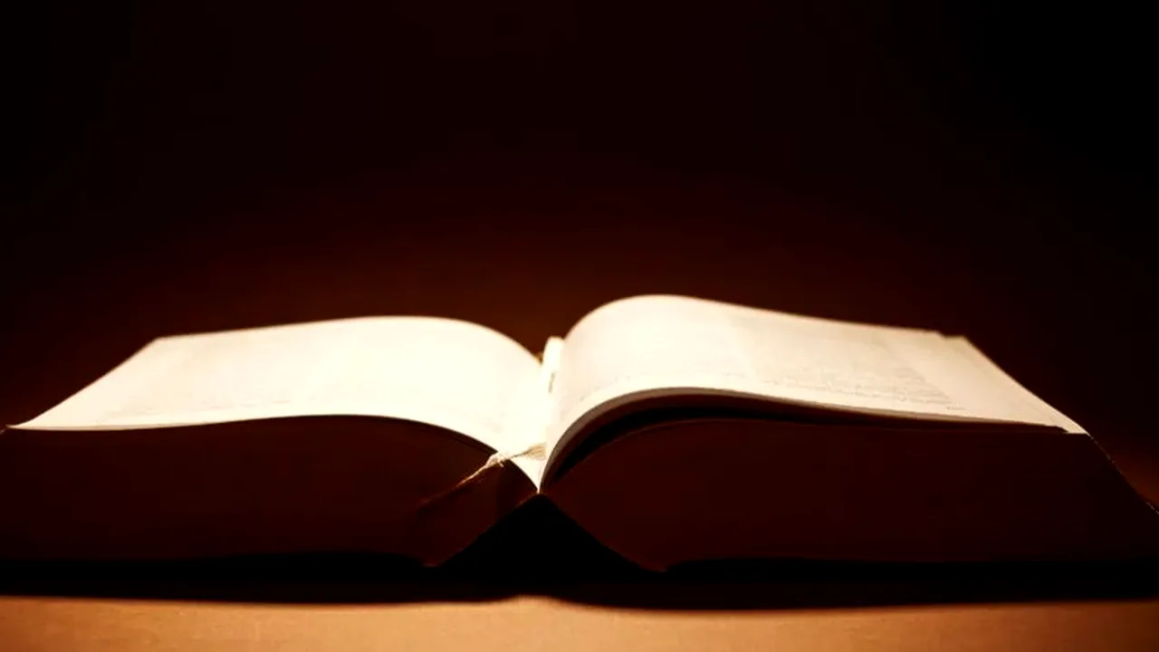 Cuvinte din limba română care se citesc la fel și invers. Tu câte știi?