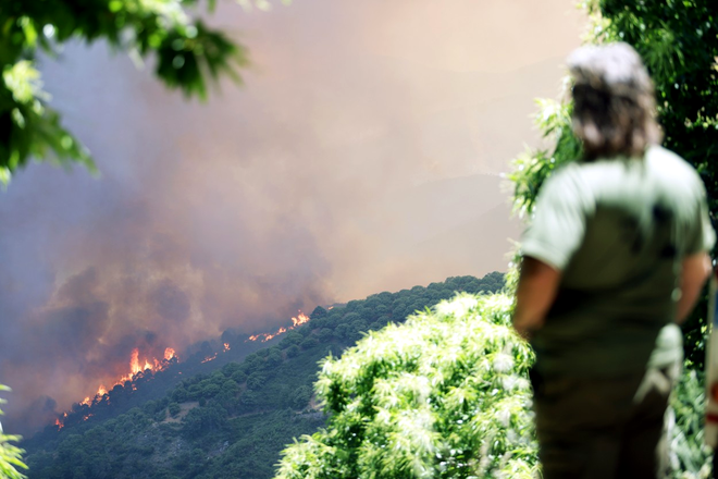 Spania, lovită de incendii de vegetație din cauza caniculei / Sursa foto: Profimedia