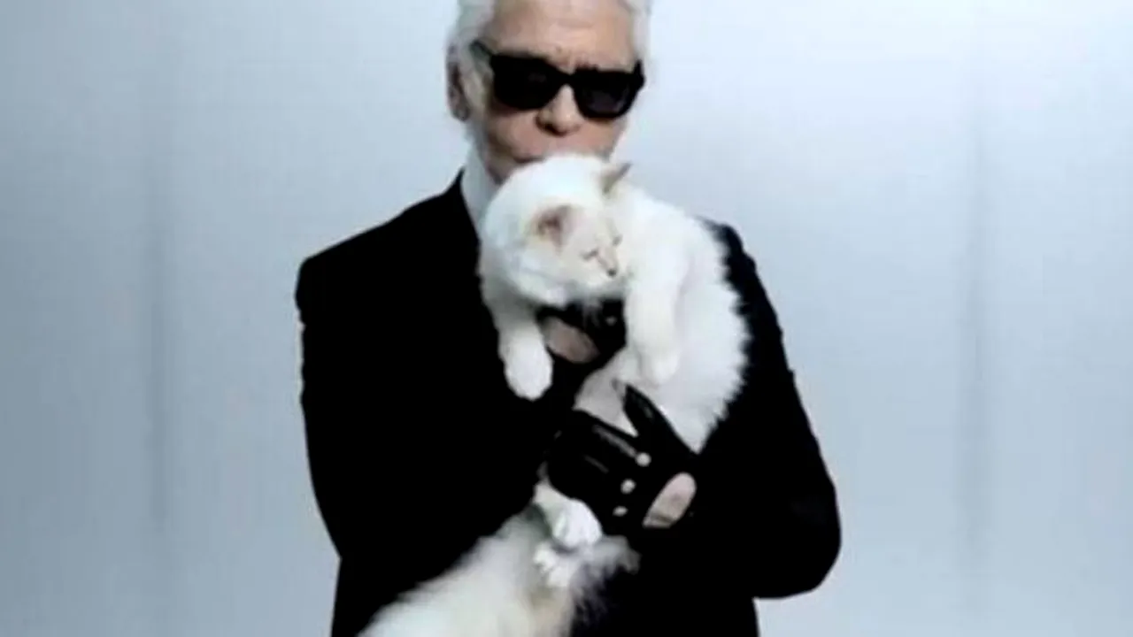 Pisica lui Karl Lagerfeld este milionară. Câți bani a câștigat anul trecut 