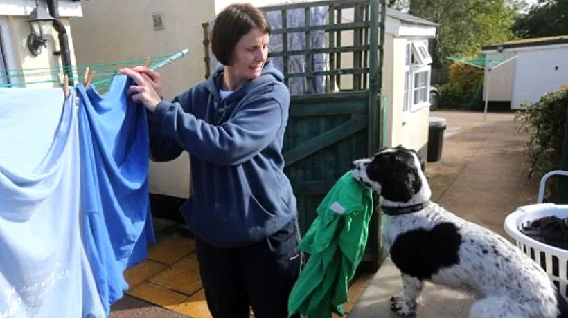 GALERIE FOTO. Povestea câinelui Stanley, salvat de la eutanasiere și ajuns finalist într-o competiție canină internațională