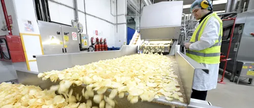 Criza de cartofi din fabricile de chipsuri din România a dat peste cap planurile producătorilor
