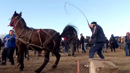 Cruzimea ca tradiție. Oameni filmați cum își lovesc animalele la Botezul Cailor dintr-o comună din Dâmbovița. Poliția a deschis o anchetă